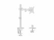 Equip 650166 uchwyt / stojak do monitorów 81,3 cm (32") Biurko Biały