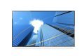 Monitor wielkoformatowy  MultiSync P506 50 cali UHD 700cd/m2 24/7