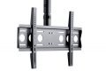 Edbak CMS21 uchwyt / stojak do monitorów 190,5 cm (75") Sufit Czarny