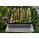 HP OmniBook 7 AI 14-fr0003nw Intel Core Ultra 5 225U Laptop 35,6 cm (14") 2K 16 GB LPDDR5-SDRAM 512 GB SSD Wi-Fi 6E (802.11ax) Windows 11 Pro AI PC Srebrny