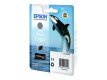 Epson T7607 Light Black