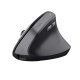 Mysz TRUST BAYO II ERGONOMIC WIRELESS MOUSE BLK (25145)