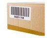 BROTHER DK11209 Taśma Brother SMALL ADDRESS LABEL 29MM X 62MM X 800