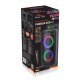 Głośnik FUNBOX BT MT3181 Bluetooth 5.0/TWS/MP3/MicroSD/USB/AUX/Equalizer/Jack 6.3/RGB/USB-C/ RMS 40W/PMPO 1000W