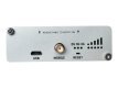 Teltonika TRB140 cyfrowy/analogowy moduł WE/WY Cyfrowe i analogowe
