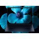 HP EliteBook X G1i 14 inch Notebook Next Gen AI PC Copilot+ PC Intel Core Ultra 7 258V Laptop 35,6 cm (14") 2K 32 GB LPDDR5x-SDRAM 1 TB SSD Wi-Fi 7 (802.11be) Windows 11 Pro Niebieski