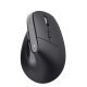 Mysz bezprzewodowa ergonomiczna BAYO+ czarna