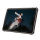 Tablet RugKing Pad 2 Pro 4G 10.1 cala 8/128GB IP69K szary
